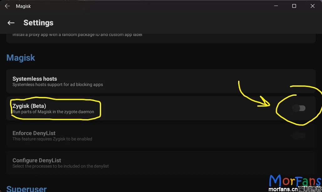 在Magisk设置中找到 Zygisk，打开开关